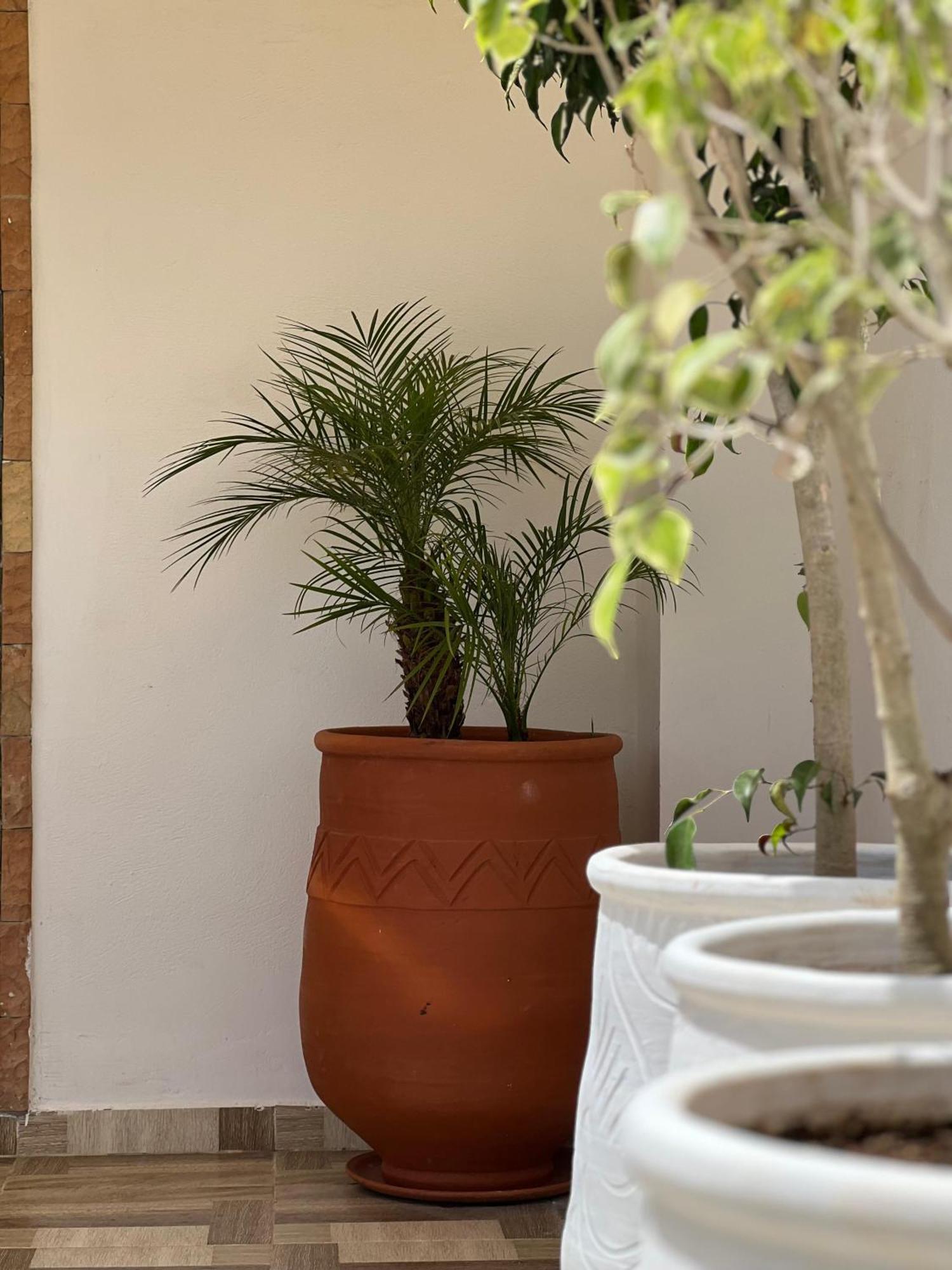 Riad Safia Rabat Buitenkant foto